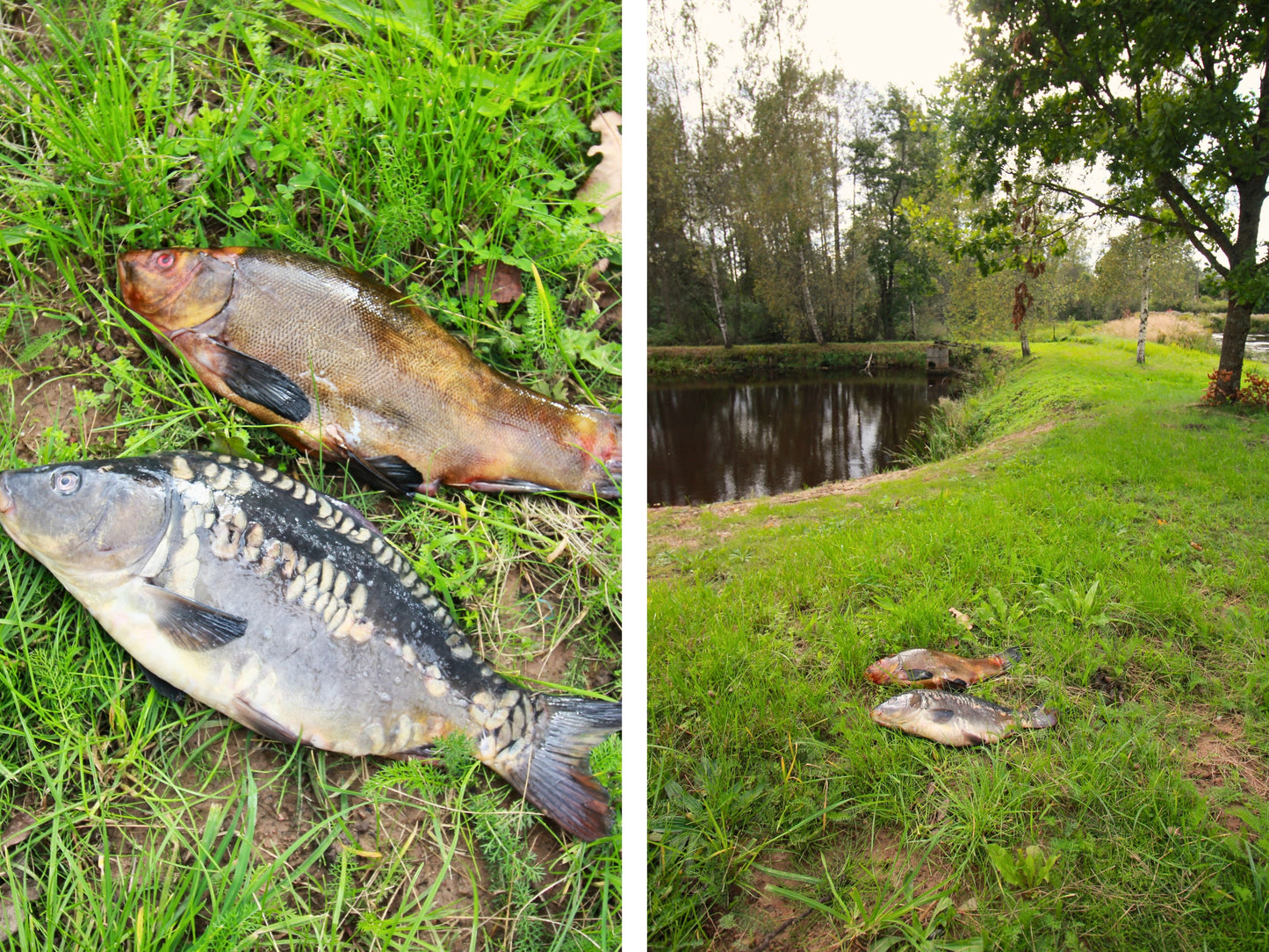 Jāņavārti, Siguldas novads